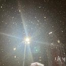 다옴뷰티 이미지