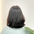 글리밍헤어 - 과천시 | 글리밍헤어
