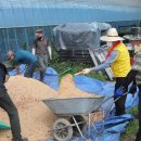 장흥군청 이미지