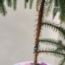 홍은도담도서관 이미지