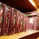 파더투선 이미지