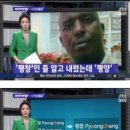 보배여행사