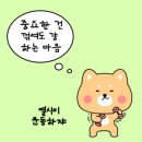 컴포트 짐 이미지