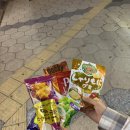 세븐일레븐창원소계럭키점 | 🇯🇵