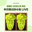 타임29 이미지