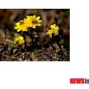 공중실(1층) 이미지