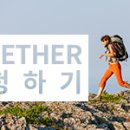 팀필드 이미지