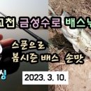 금성낚시 이미지