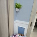 휴안마토피아 이미지