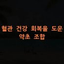 약초활용 생활건강법 | 혈관 건강 회복을 도운 약초 조합