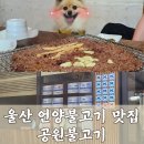 언양불고기 맛집 실내 애견동반 가능한 언양공원불고기