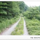국립운장산자연휴양림 야영장 이미지