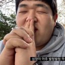 뚜껑열린돼지 이미지