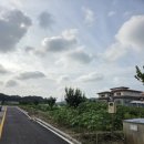 신정리민박 네이버블로그