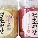 적초