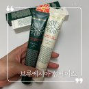 선 | 무신사 뷰티 파데프리 선베이스 후기 : 브루케시아