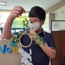 삼천포제일중학교 이미지