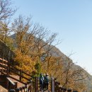 내룡 | 용궐산(龍闕山) 산행 후기, 사진, 드론영상 / 등산...된목~정상~삼형제바위~임도삼거리~내룡마을~주차장)