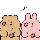 카페홍당무 네이버블로그