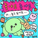 하례학림로 | 마지막 자유, 제주에서 충전하기🍊