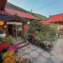 황토집사람들 이미지