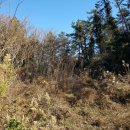 완도군소안면진산보건진료소 | [2020타경52521] 전남 완도군 소안면 진산리 1167 <<완도토지(답)경매>>