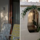 스테이 월화 이미지