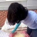 원미이불 이미지