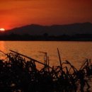 낙동강제방(1) 이미지