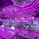 핑키펑키(사상점) 이미지