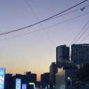 대어호 | [제주 먹방 출장 2편] 내돈내산 공항근처 돈나무흑돼지 구이와 로컬 대어호횟집 솔직후기