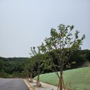 처인고등학교 이미지