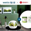 교원라이프구독 매일경제