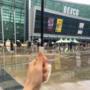 [후기] 워너원 부산 팬콘 막콘