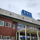 묵호역 Daum카페
