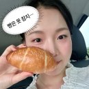 여름 제주 여행🌿