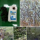 정상호 농장 이미지