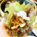 킨텍스고기맛집 대영정육점식당 솔직 방문 후기