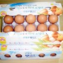 울산아지매 이미지