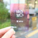 바라보다;봄