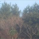 중문동-14 이미지