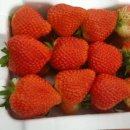 금당농장 이미지