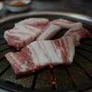 바오하우스
