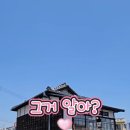 영천 과전동 일본식 가옥 | 영천 과전동 일본식 가옥