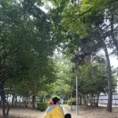 신호솔밭공원 이미지