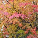 이니픽스네트웍스 | 저 살아있습니다... 눈물이 앞을 가려 보이질 않는 인테리어 공사&amp;이사 후기