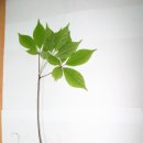 시골농장 이미지