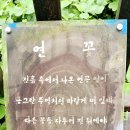 붕쥬르