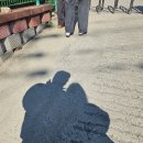 이마트24 화성양감정문점 | [화성 봉담] 유기견카페 ‘훈트’ 힐링하고 온 내돈내산 후기