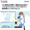영동가스주 이미지